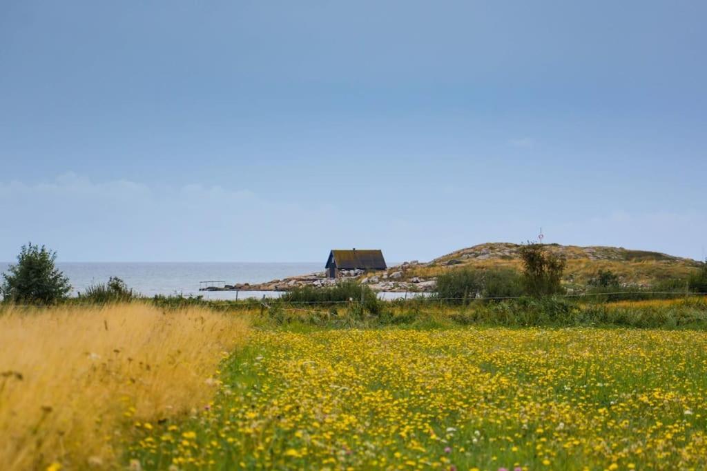 Skreanaes - Falkenberg Falkenberg